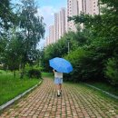 우산 | 초등 저학년 아이도 혼자 쓰기 쉬운 산리오 자동우산 후기