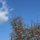 고요히 민박 이미지