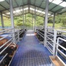 솔미축사 이미지