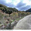 상효동-6 이미지