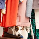 천동물병원 이미지