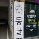 몽글펫 네이버블로그