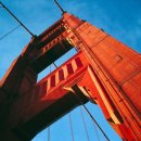 블루베리의 효능과 부작용, 하루 섭취량 이미지