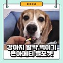 조이필 | 강아지 알약 급여용 간식 본아페티 필포켓 급여후기