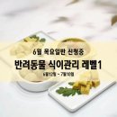 결혼상담 관리사 2급 | [수강신청] 6월 반려동물 식이관리사 2급 / 자격증 과정 /목요일반 신청중