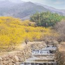 시목마을회관 이미지