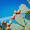 대원 | 요즘 식습관 관리 고민될 때, 대원헬스 [블락킹] 후기