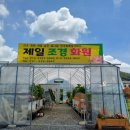 제일조경화원