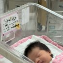 새봄안약국 | 창원 한마음병원 제왕절개 수술 후기 3편👶🏻(+제왕절개 4~6일차, 상처 소독 및 초음파 검사, 모유수유...