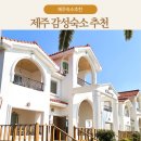 스테이체리 이미지