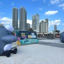 태화강 빛 축제 이미지