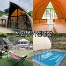 천안 몽키캠핑장 글램핑 후기, 아이와 함께 다녀온 가족 캠핑 추천