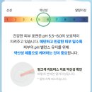 더심플 | 내돈내산│싸이닉 더 심플 카밍 토너 , 더 심플 데일리 로션, 더 심플 베리어 크림 N개 사용후기