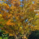 영남루 주차장 화장실 이미지