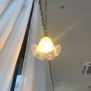 젬마커피(Gemma coffee) 이미지