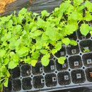 대절농장 이미지