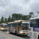 신라누비 | [🇰🇷코리아둘레길] 해파랑길 11코스 동해바닷길 따라 역사공부하는 즐거움이 있는 해파랑길 11코스