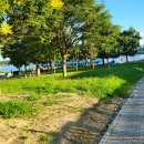 뚝섬한강공원-48 이미지