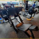 그린핏 코리아 이미지