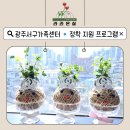 광주서구가족센터 | 광주서구가족센터 출강 기록ㅣ결혼이민자 정착단계별 지원 패키지: 그림책원예치료 토피어리