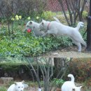 새롬코리아 이미지