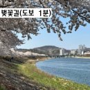 토지시장마트