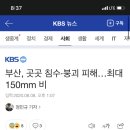 초량밀면 - 해운대구 달맞이길62번길 19 | 초량밀면