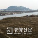 백산청과