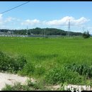 여주-1086 이미지