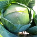 미혜농장 이미지