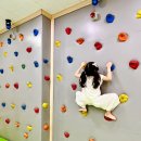 6551 | 키즈텐 l 대전 동구 홍도동 배달음식 가능 가성비 좋은 키즈카페