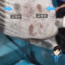 PJ자동차정비 이미지