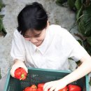 울퉁불퉁 팩토리