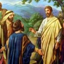 진리농장 이미지