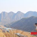 솔티 이미지