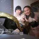 오색비단 이미지