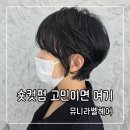 에머랄드빌딩 | 범계역 미용실 숏컷펌 고민 끝 유니라벨헤어 주향디자이너 후기