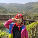 김주원농장 Daum카페