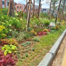 위례성대로 이미지