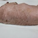 태평역 동물병원 이미지