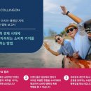 리워드인터내셔널
