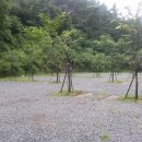 양평꿈의마을오토캠핑장 이미지