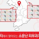 서초중앙로 43 이미지