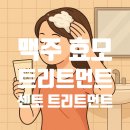 오일프라임 | 잦은 고데기·펌 필수템! 센토 프라임 콜라겐 단백질 트리트먼트 후기