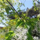 상안 풋살구장 이미지