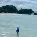 비치식당 이미지