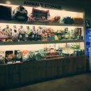 와르동물병원 이미지