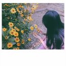 WR(인천광역시 서구)-[가정로]-상-4 | 🖤• 인천 퍼스널컬러/체형진단 컨설팅 “페이즈(phase)” 방문 후기 •🖤