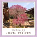 가-3 | 전라도 여행 구례 화엄사 홍매화 화엄매 후기(3/27) 구례 가볼만한 곳