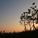 유유자적 이미지